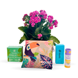 Kit Eco Amor
