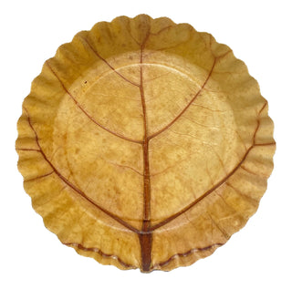 Platos de Hoja 100% Compostables