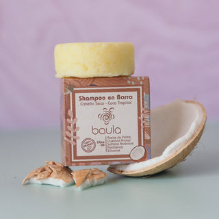 Shampoo sólido
